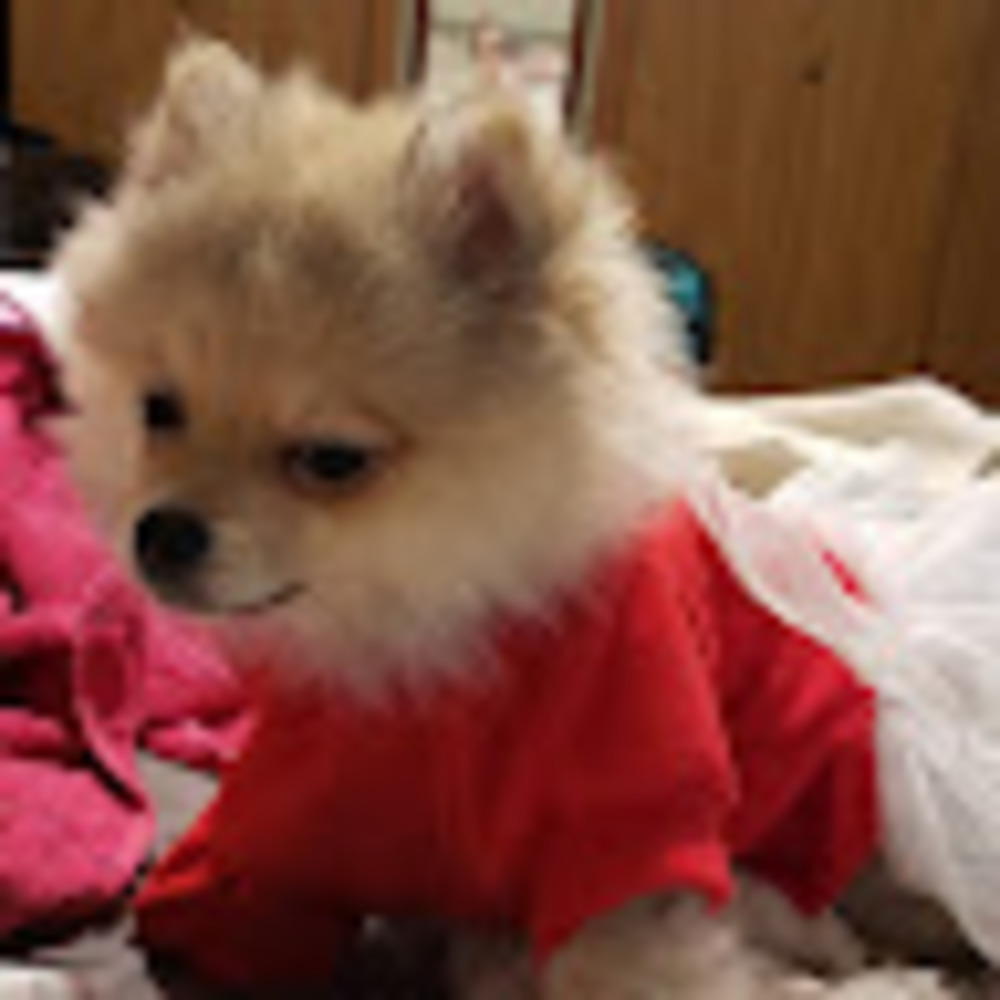 Meet your Posher, Valerie